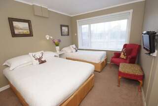 Отели типа «постель и завтрак» Lios Na Manach Farmhouse B&B Килларни Двухместный номер с 2 отдельными кроватями-1